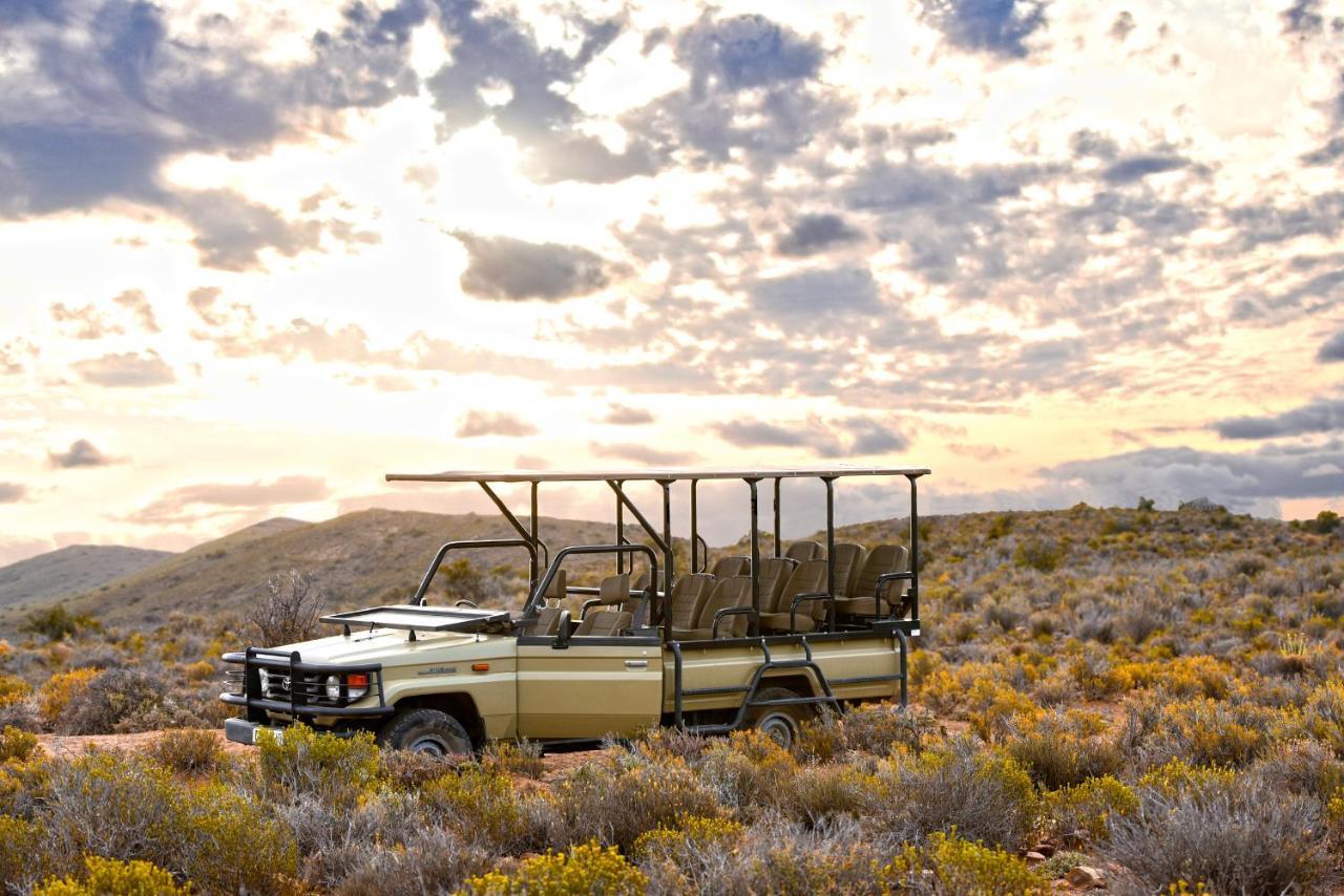 Mont Eco Game Reserve Montagu Bagian luar foto
