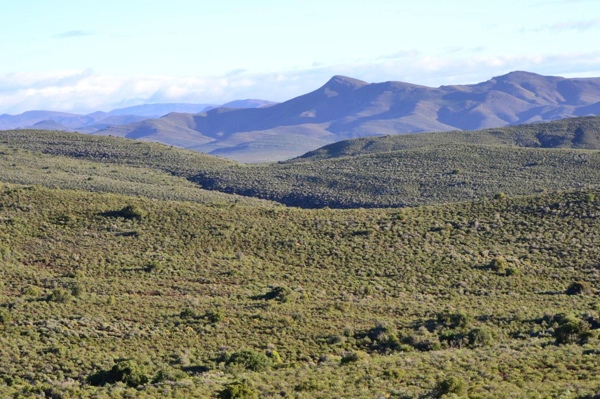 Mont Eco Game Reserve Montagu Bagian luar foto